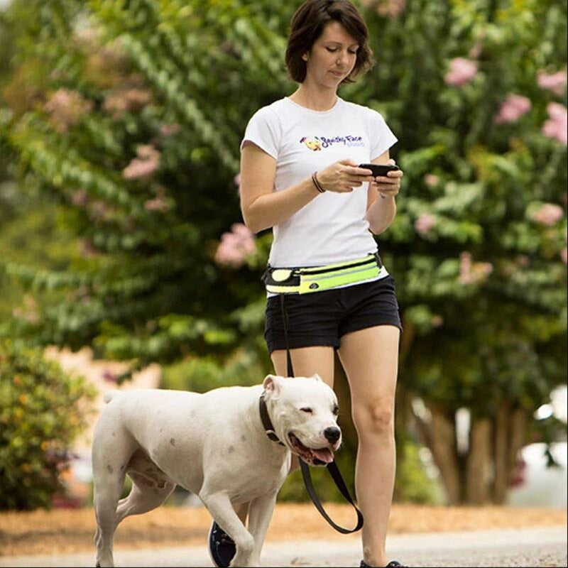 Jog With Your Dog - Fabulously Comfortable Hand Free Dog Leash