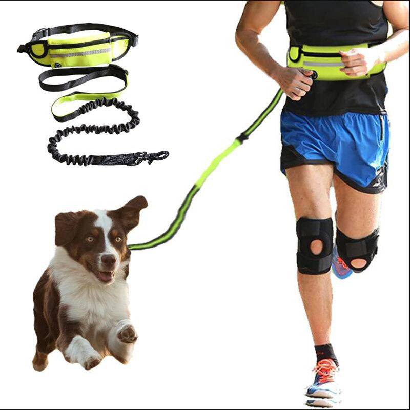 Jog With Your Dog - Fabulously Comfortable Hand Free Dog Leash